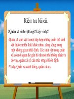 Bai 50 : He sinh thai