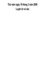 Liên kết các câu trong bài bằng t­­ừ ngữ nối