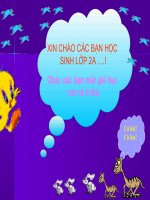 Kể chuyện Bạn của Nai Nhỏ