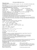 de cuong HKII-hoa 11-cb-nc