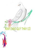 Thực hành biện pháp tu từ AD và HD