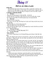 GIAO AN HĐNGLL THANG 11