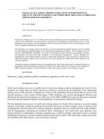 SMALL-SCALE MINES, THEIR CUMULATIVE ENVIRONMENTAL IMPACTS AND DEVELOPING COUNTRIES BEST PRACTICE GUIDELINES FOR WATER MANAGEMENT