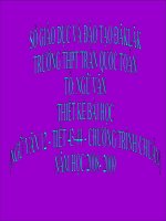 QUÁ TRÌNH VĂN HỌC VÀ PHONG CÁCH VĂN HỌC