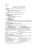 Giáo án sinh học 6 (hai cột)