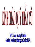 CÔNG TÁC CỦA GV -TPT ĐỘ