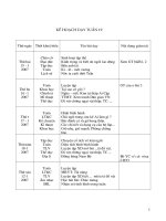 Tuần 19 lớp 4 SN