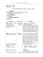 Giáo án Tự chọn Tin 8 (TK)