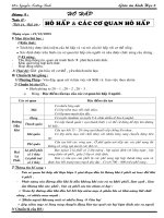 Giaáoán sinh học 8 mẫu - soạn chi tiết + Có hình minh họa  năm 2009