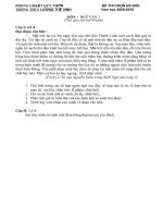 Thi HSG Văn 7 (2010) LTV_Quy Nhơn