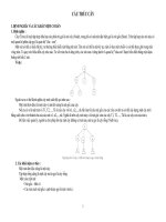 Giai thuat Cau truc cay