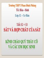 Tiết 52,53: Sắc và hợp chất của sắc