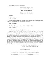 Trường THPT chuyên Nguyễn Trãi - Hải Dương THI THỬ ĐẠI HỌC LẦN I Môn: Ngữ văn - Khối: D