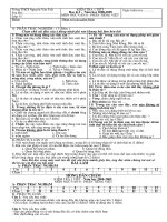 Kiểm tra 1 tiết tiếng Việt - HKI