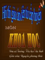 Ánh sáng cần cho sự sống