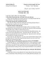 bao cao tong ket nam hoc