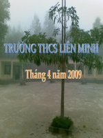 Tiết 46 Thực hành