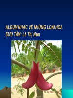 ALBUM CA KHUC VE CAC LOAI HOA