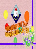 ĐỊA LÍ 5: Thương mại và Du lịch