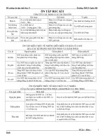 vi du ;bài 12.Cơ chế xác đinh giới tính