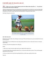 CƯỜI VỚI VĂN MIÊU TẢ CỦA TRẺ