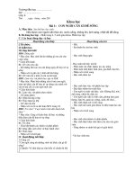 Giáo án Khoa Học 4