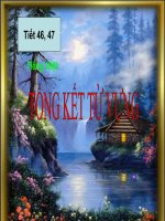 TIẾT 46,47 TONG KET TU VUNG