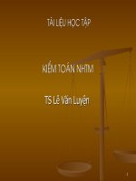 Kiểm toán ngân hàng thương mại - TS Lê Văn Luyện 