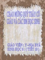 BÀI 11:SỰ HÚT NƯỚC VÀ MUỐI KHOÁNG CỦA RỄ
