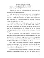 Báo cáo tự đánh giá 2009