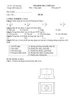 Đề kiểm tra 1 tiết học kì I-3