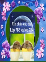 Tiet 9 - bai 7 - Ti le thuc