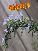 Cảnh đẹp thế giới