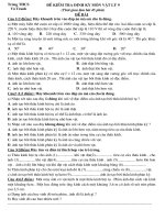 ĐỀ KIỂM TRA 45 PHÚT: LÍ 9 - 2009