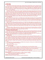 SKKN DẠY READING (G9) 2010