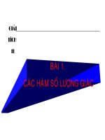 Các hàm số lượng giác 11