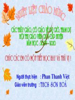 KHÍ HẬU VÀ CẢNH QUAN TRÊN TRÁI ĐẤT (CỰC HAY)