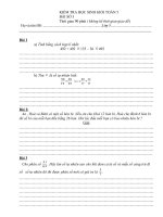 Đề kiểm tra HSG toán 5 (đề 3)