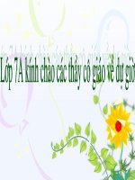 ý nghĩa văn ch­­­uong