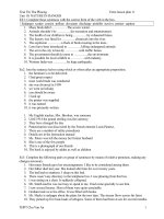 Giáo án tự chọn 11- unit 10