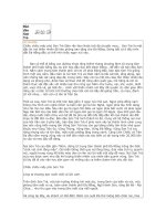 Bán đảo Sơn Trà