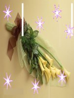 Ôn tập truyện kí VN