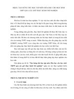 SKKN: TẠO HỨNG THÚ HỌC TẬP MÔN HÓA HỌC CHO HỌC SINH THPT QUA CÁC GIỜ THỰC HÀNH THÍ NGHIỆM