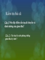 Tiet 14 da dang va dac diem chung cua nganh giun tron