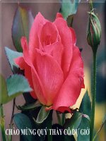 bài 7 Các nước Mĩ la tinh