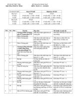 kế hoạch giảng dạy toán 11cb