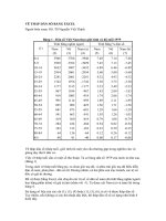 Ve thap tuoi bang Excel