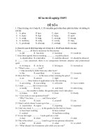 Đề ôn thi tốt nghiệp THPT môn Tiếng Anh