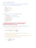 bai tap can ban va nang cao