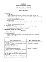 giáo ánl l3 tuần 4 + 5